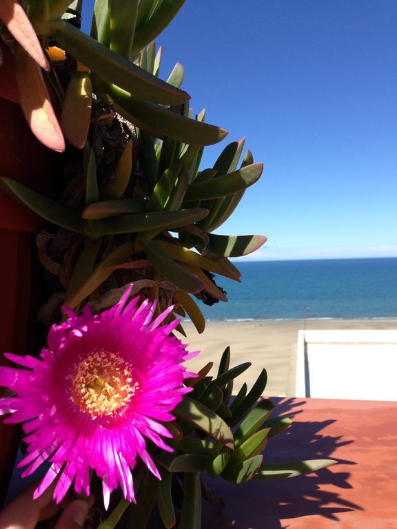 Little Paradise Casa Vacanze Margherita Di Savoia Exterior foto